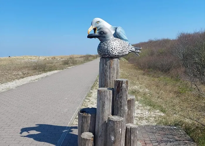 Meeresrauschen 公寓