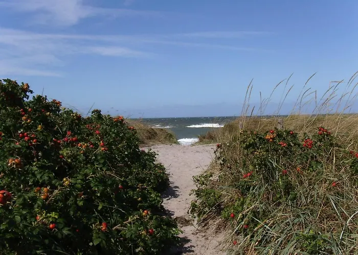 公寓 Meeresrauschen 格拉尔-米里茨